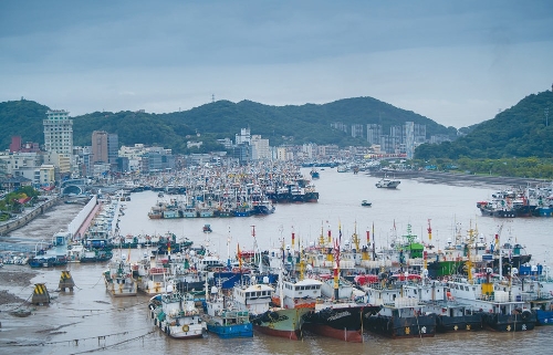 今年第12号台风“梅花”逐渐向浙江沿海逼近 1300余艘作业渔船回港避风